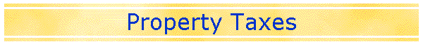Property Taxes