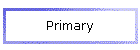 Primary